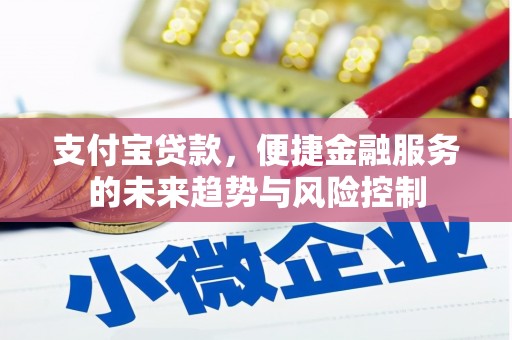 德钦支付宝贷款，便捷金融服务的未来趋势与风险控制