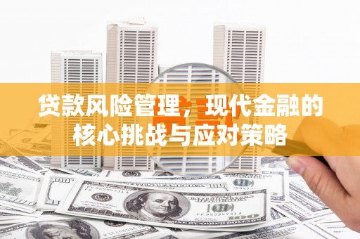 德钦贷款风险管理，现代金融的核心挑战与应对策略