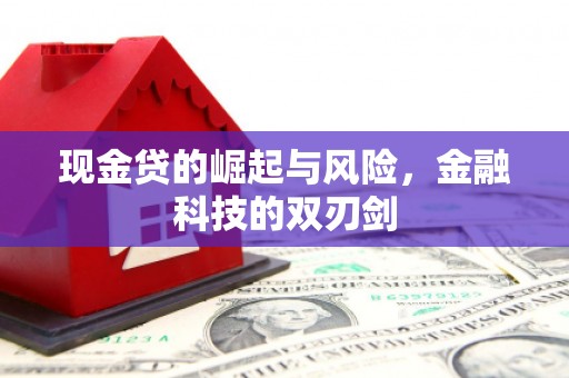 德钦现金贷的崛起与风险，金融科技的双刃剑