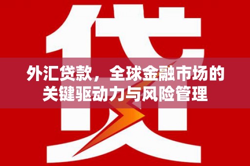 德钦外汇贷款，全球金融市场的关键驱动力与风险管理