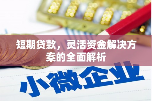 德钦短期贷款，灵活资金解决方案的全面解析