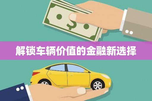 德钦解锁车辆价值的金融新选择