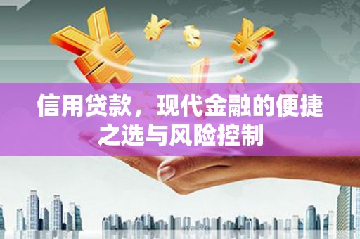 德钦信用贷款，现代金融的便捷之选与风险控制