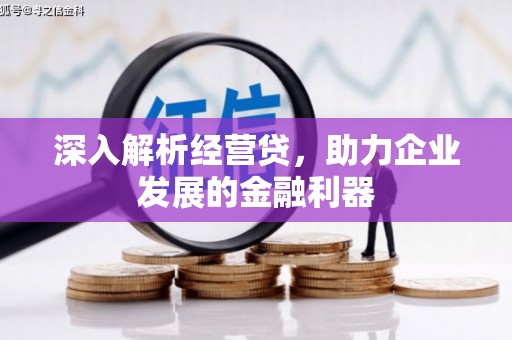 德钦深入解析经营贷，助力企业发展的金融利器