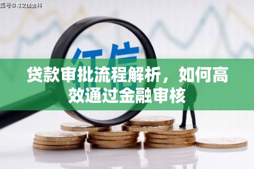 德钦贷款审批流程解析，如何高效通过金融审核