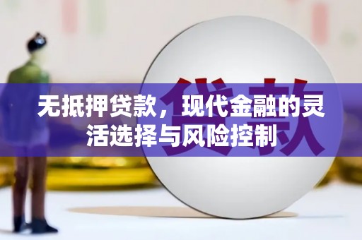 德钦无抵押贷款，现代金融的灵活选择与风险控制