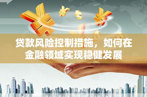 德钦贷款风险控制措施，如何在金融领域实现稳健发展