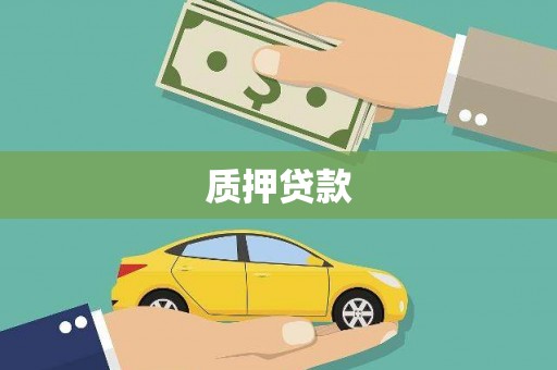 德钦质押贷款