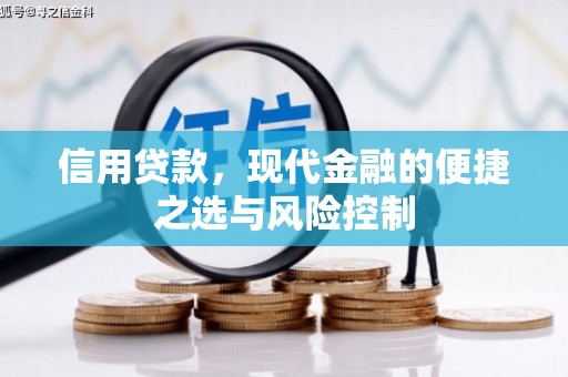 德钦信用贷款，现代金融的便捷之选与风险控制