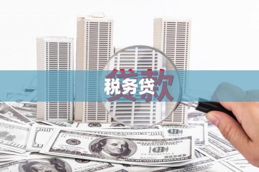 德钦税务贷