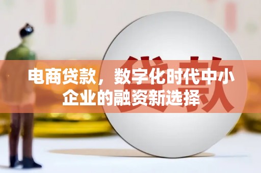 德钦电商贷款，数字化时代中小企业的融资新选择