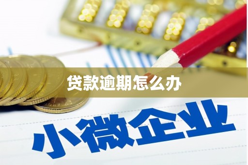 德钦贷款逾期怎么办