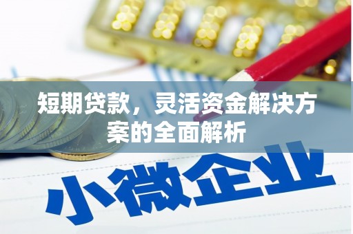德钦短期贷款，灵活资金解决方案的全面解析