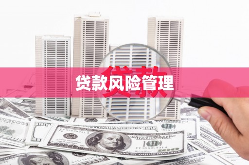 德钦贷款风险管理