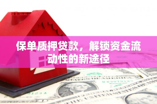 德钦保单质押贷款，解锁资金流动性的新途径