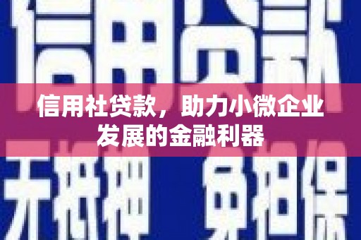 德钦信用社贷款，助力小微企业发展的金融利器