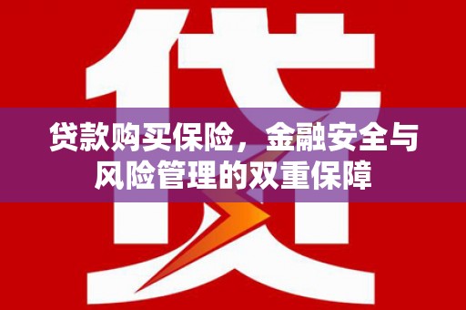 德钦贷款购买保险，金融安全与风险管理的双重保障