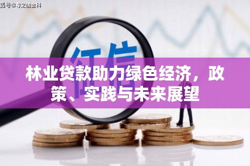 德钦林业贷款助力绿色经济，政策、实践与未来展望