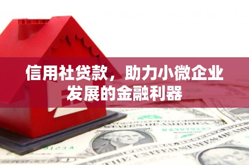 德钦信用社贷款，助力小微企业发展的金融利器