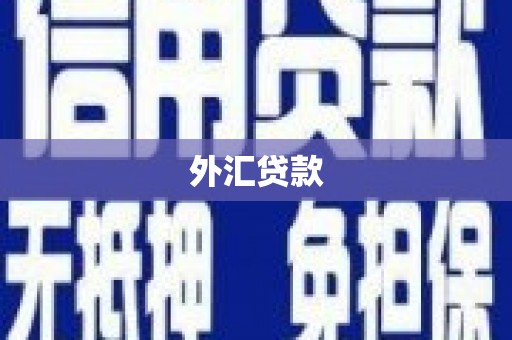 德钦外汇贷款