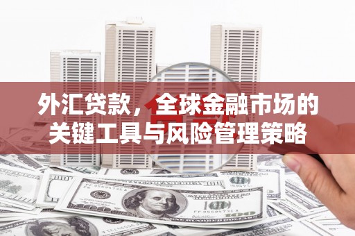 德钦外汇贷款，全球金融市场的关键工具与风险管理策略