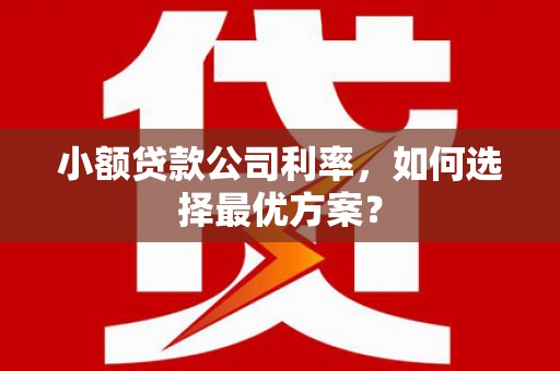 德钦小额贷款公司利率，如何选择最优方案？