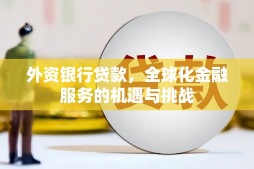 德钦外资银行贷款，全球化金融服务的机遇与挑战