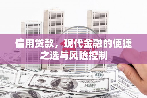 德钦信用贷款，现代金融的便捷之选与风险控制