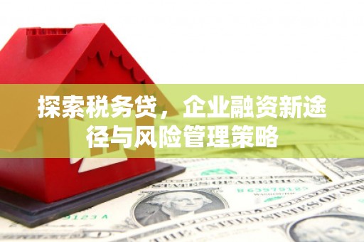 德钦探索税务贷，企业融资新途径与风险管理策略