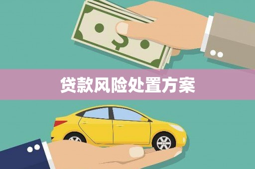 德钦贷款风险处置方案