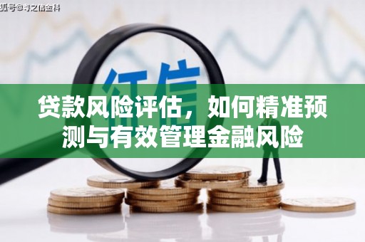 德钦贷款风险评估，如何精准预测与有效管理金融风险