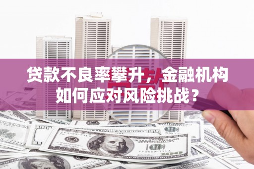 德钦贷款不良率攀升，金融机构如何应对风险挑战？