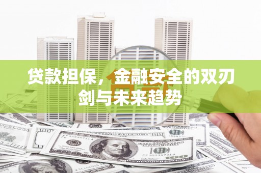 德钦贷款担保，金融安全的双刃剑与未来趋势