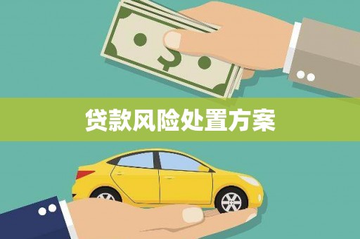 德钦贷款风险处置方案