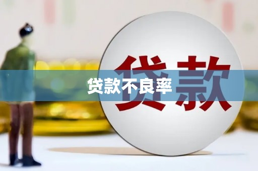 德钦贷款不良率