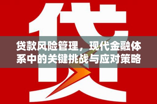 德钦贷款风险管理，现代金融体系中的关键挑战与应对策略