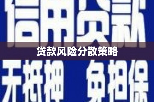 德钦贷款风险分散策略