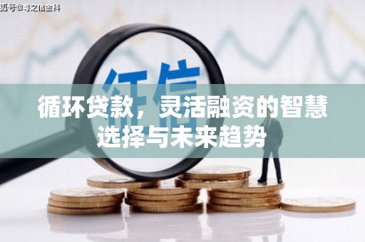 德钦循环贷款，灵活融资的智慧选择与未来趋势