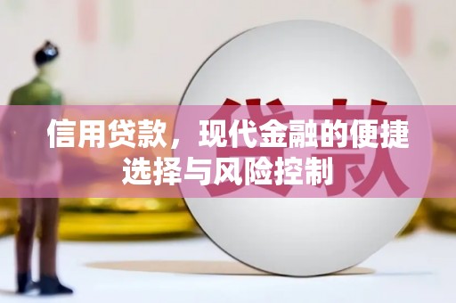 德钦信用贷款，现代金融的便捷选择与风险控制