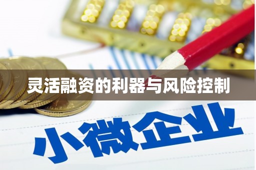 德钦灵活融资的利器与风险控制