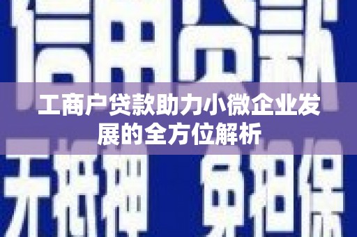 德钦工商户贷款助力小微企业发展的全方位解析