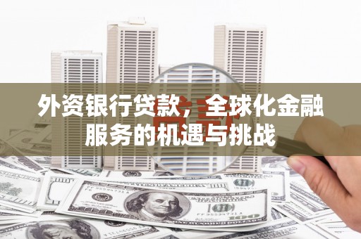 德钦外资银行贷款，全球化金融服务的机遇与挑战