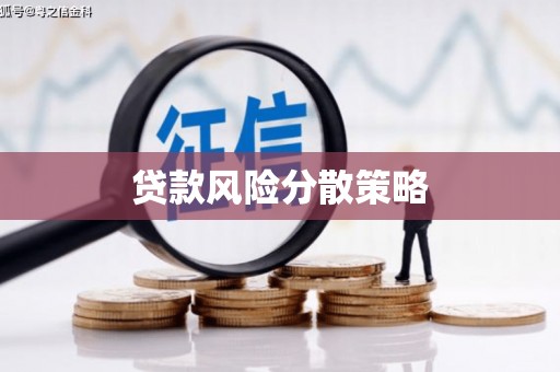 德钦贷款风险分散策略