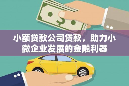 德钦小额贷款公司贷款，助力小微企业发展的金融利器