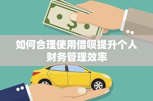 德钦如何合理使用借呗提升个人财务管理效率