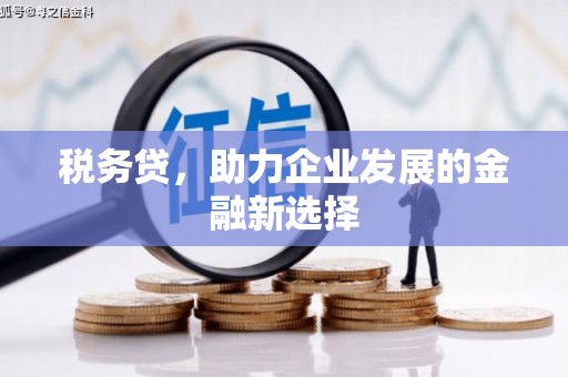 德钦税务贷，助力企业发展的金融新选择