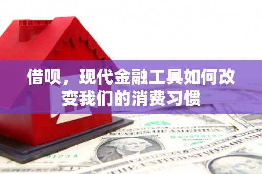 德钦借呗，现代金融工具如何改变我们的消费习惯