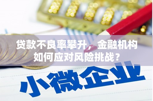 德钦贷款不良率攀升，金融机构如何应对风险挑战？