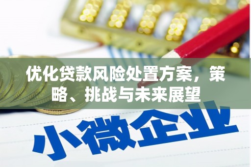 德钦优化贷款风险处置方案，策略、挑战与未来展望