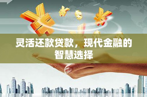 德钦灵活还款贷款，现代金融的智慧选择